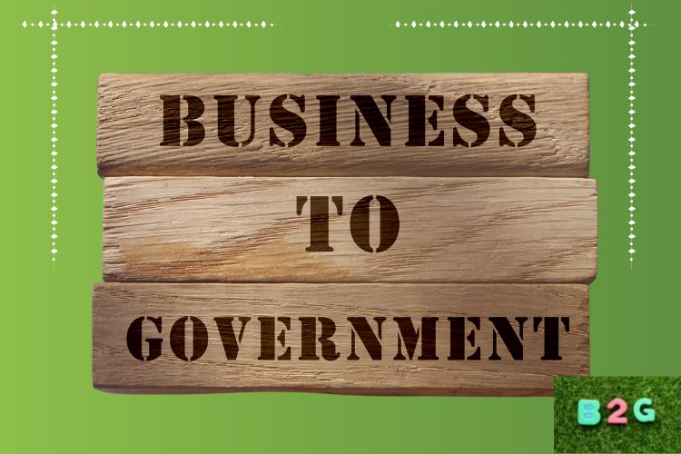 Business to Government