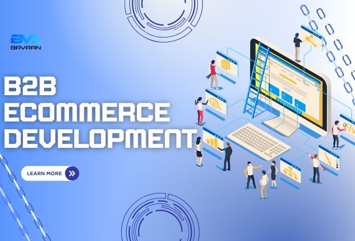 B2B Ecommerce Development