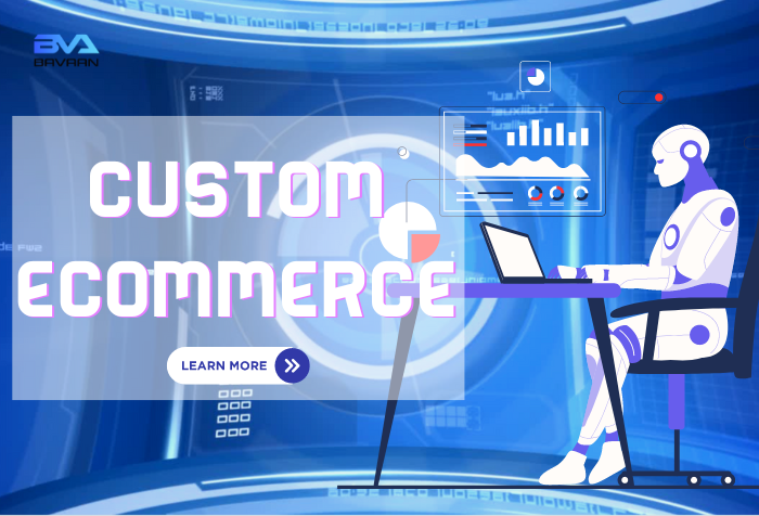 Custom Ecommerce